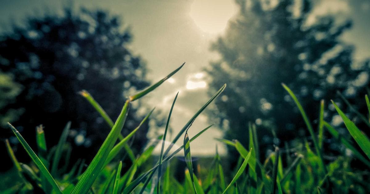 The Illusion of Choice in Modern Dating