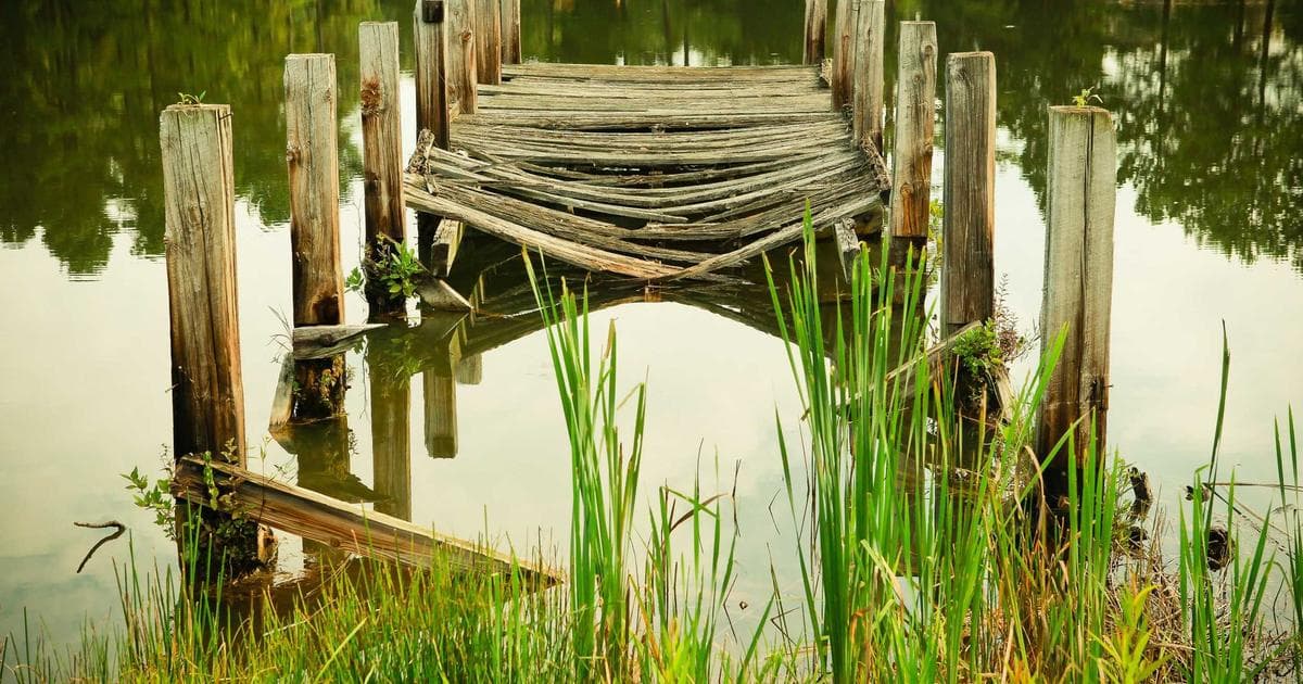 The Diagnosis Trap: When a Label Helps and When It Cages You