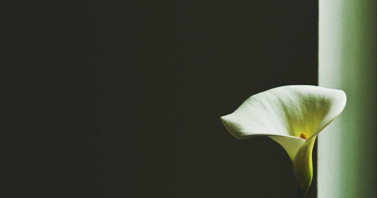 Why Good People Enable Terrible Workplace Cultures