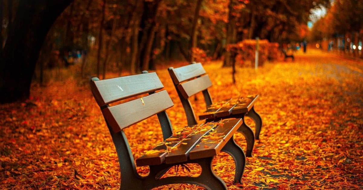 They Kept You Employed and Destroyed You Anyway