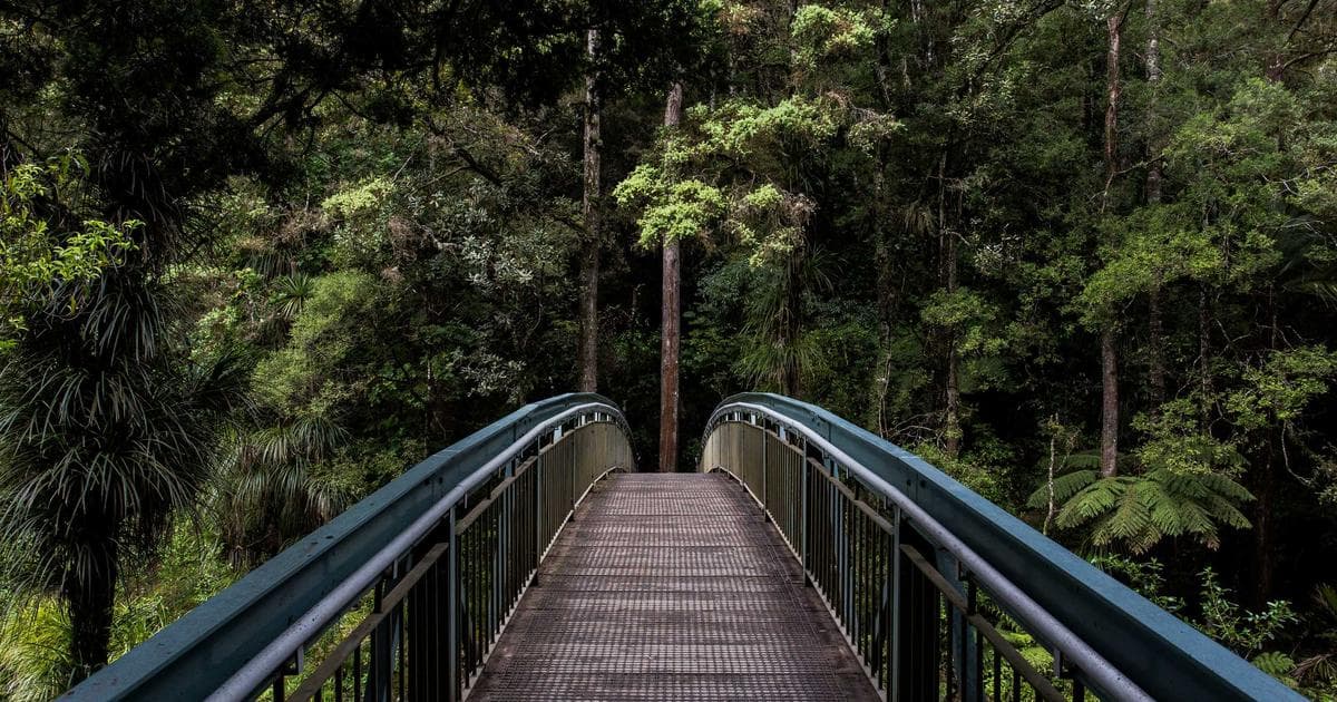 Why Ambition Is Making You Lonely