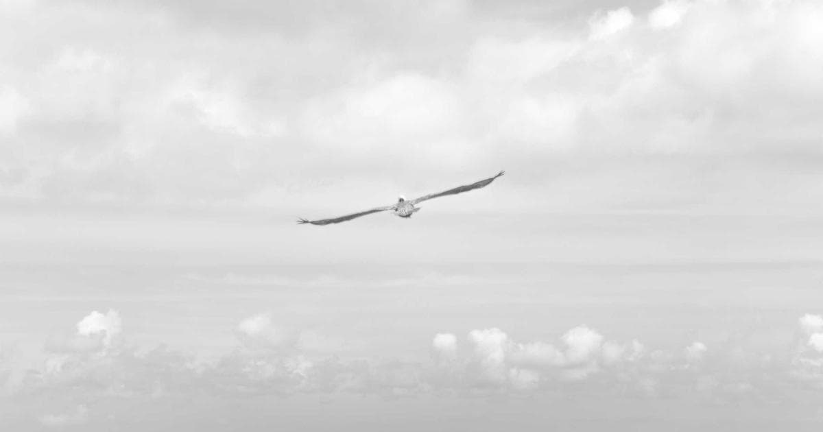 Why Men Pull Away After Getting Close